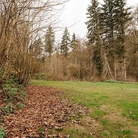 Prázdninový dům Zur Alten Oelmuehle Wellness & Entertainment Ahrhutte