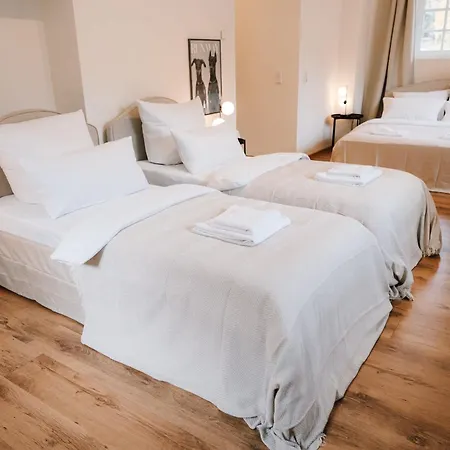 펜션 Zur Alten Oelmuehle Wellness & Entertainment 블랑켄하임
