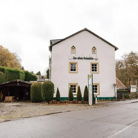 펜션 Zur Alten Oelmuehle Wellness & Entertainment