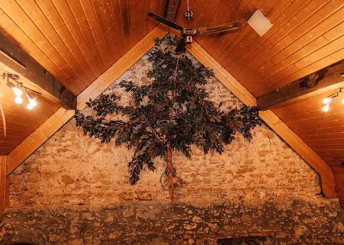 Zur Alten Oelmuehle Wellness & Entertainment بلانكينهييم