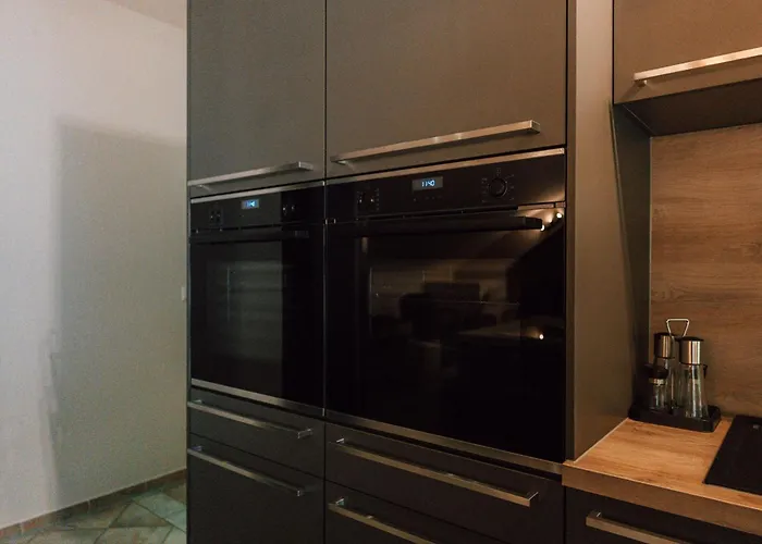 Zur Alten Oelmuehle Wellness & Entertainment * 布兰肯海姆