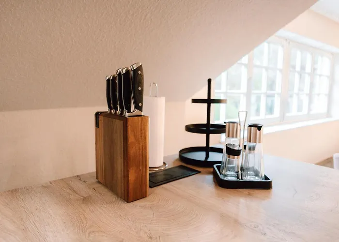 度假居 Zur Alten Oelmuehle Wellness & Entertainment 布兰肯海姆