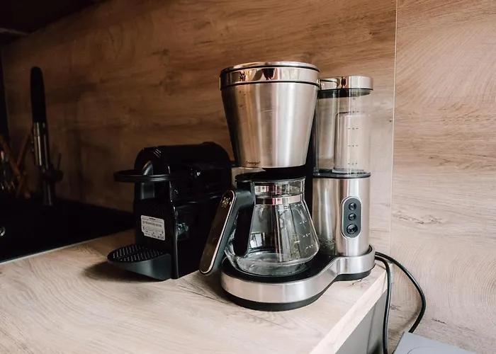 Zur Alten Oelmuehle Wellness & Entertainment 度假居 *